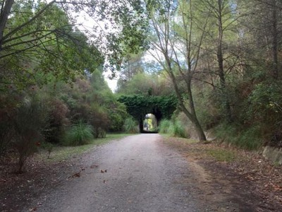 JA S’HA INSTAL·LAT LA PRIMERA FASE DE LES NOVES LLUMINÀRIES SOLARS AL CAMÍ VERD